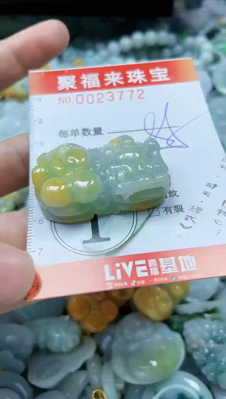 【闪购商品】翡翠颈饰未镶嵌闪购0023772