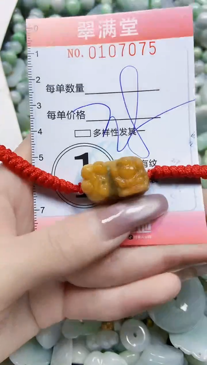 【闪购商品】翡翠颈饰未镶嵌闪购0107075