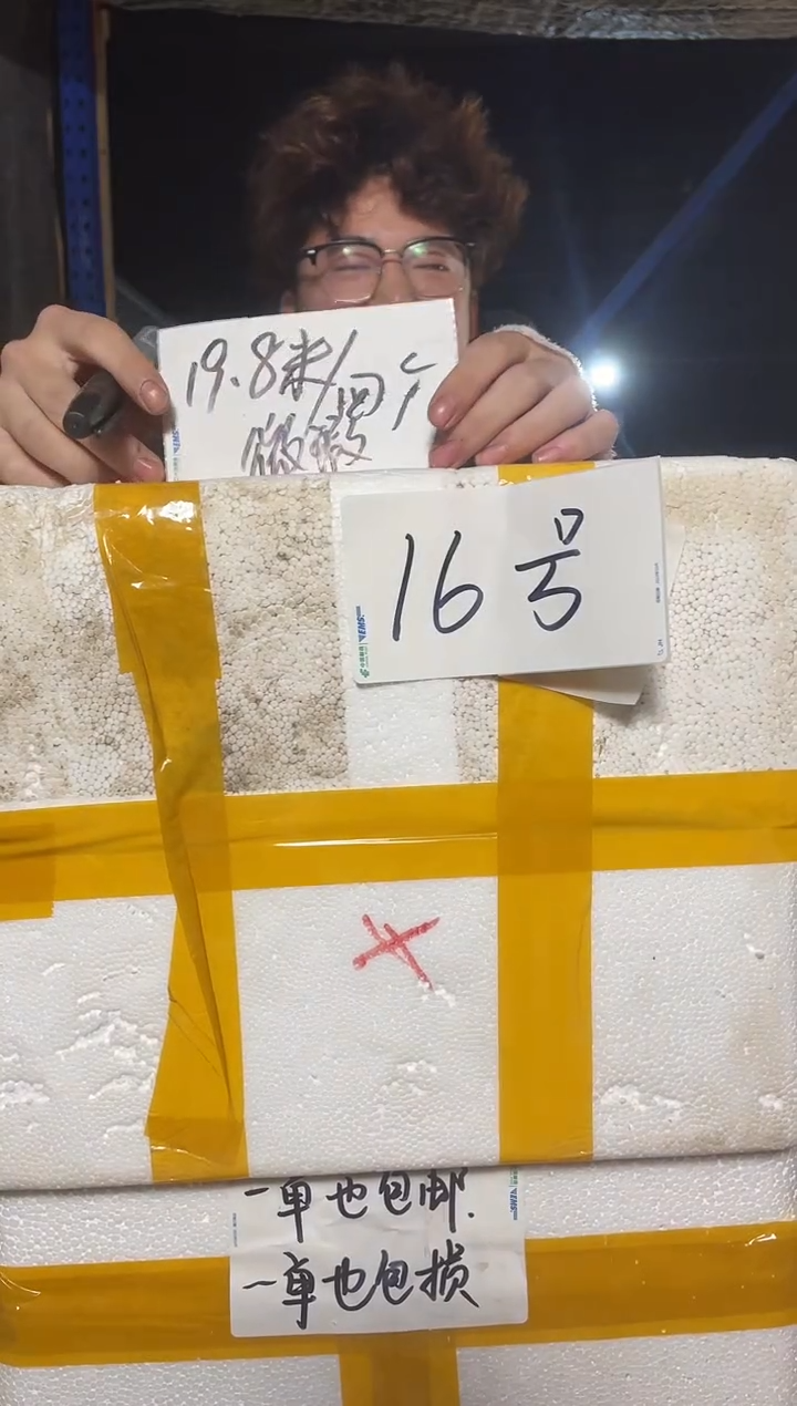 紫砂花盆宜兴紫砂粗陶花盆19.8/16