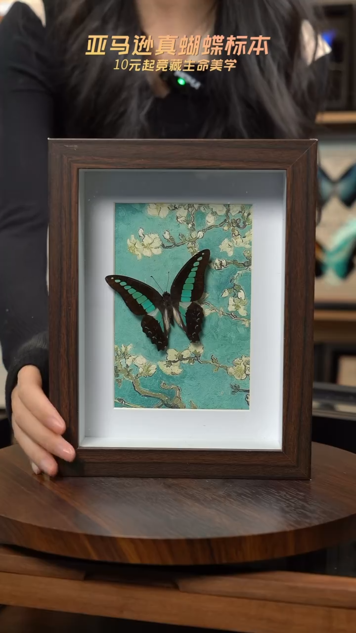青凤蝶8寸复古框腊梅款