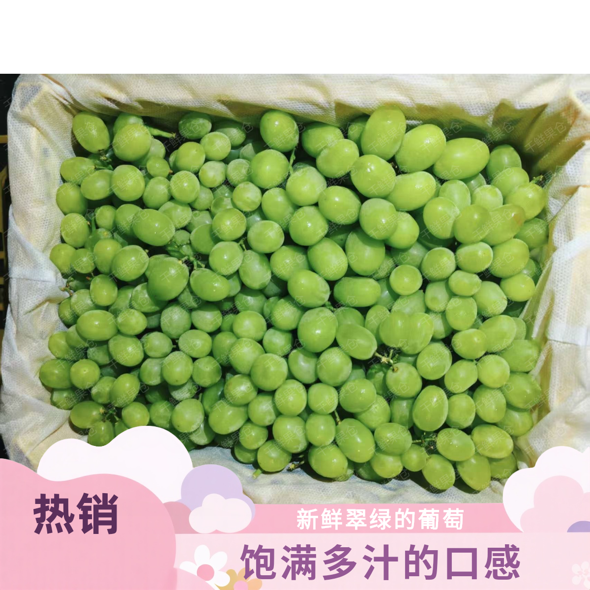 新疆精选珍珠青提新疆维吾尔自治区