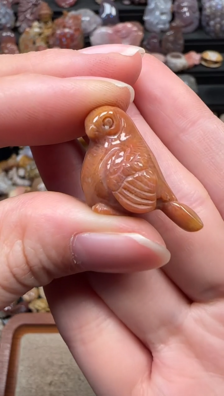 颈饰未镶嵌硅化珊瑚（珊瑚玉）227