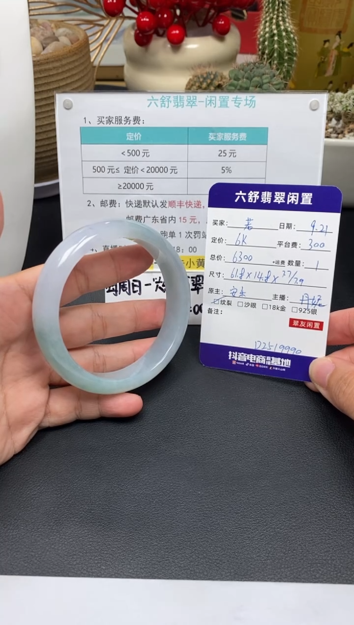 未镶嵌手镯翡翠若D2519990