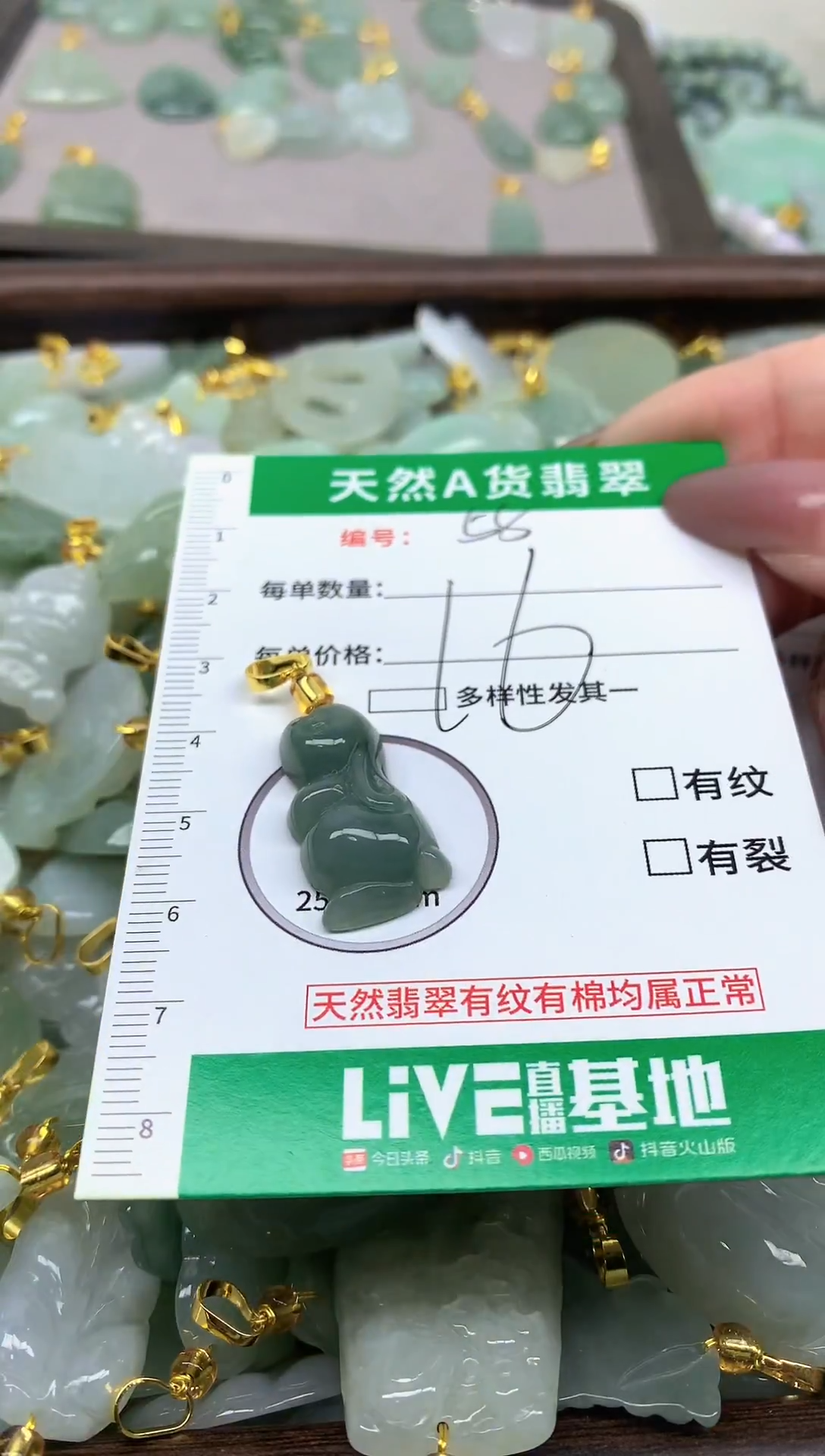 颈饰未镶嵌翡翠纯天然缅甸A货翡翠-55