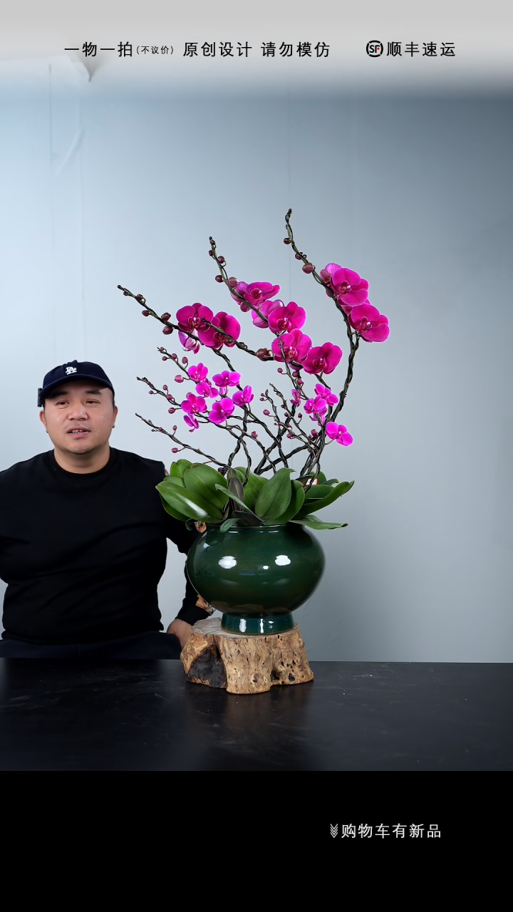 【闪购商品】136号链接【一物一拍】艺术盆景