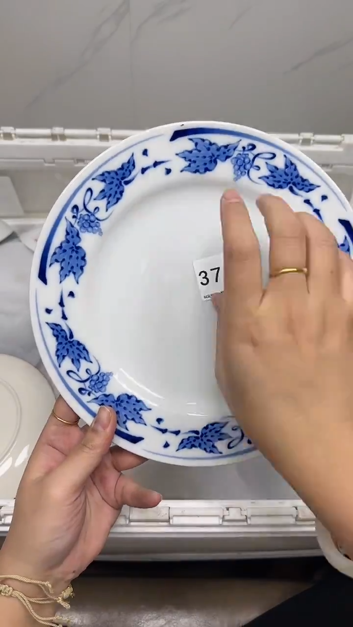 【闪购商品】3760回流瓷器默认微瑕，18.8包邮