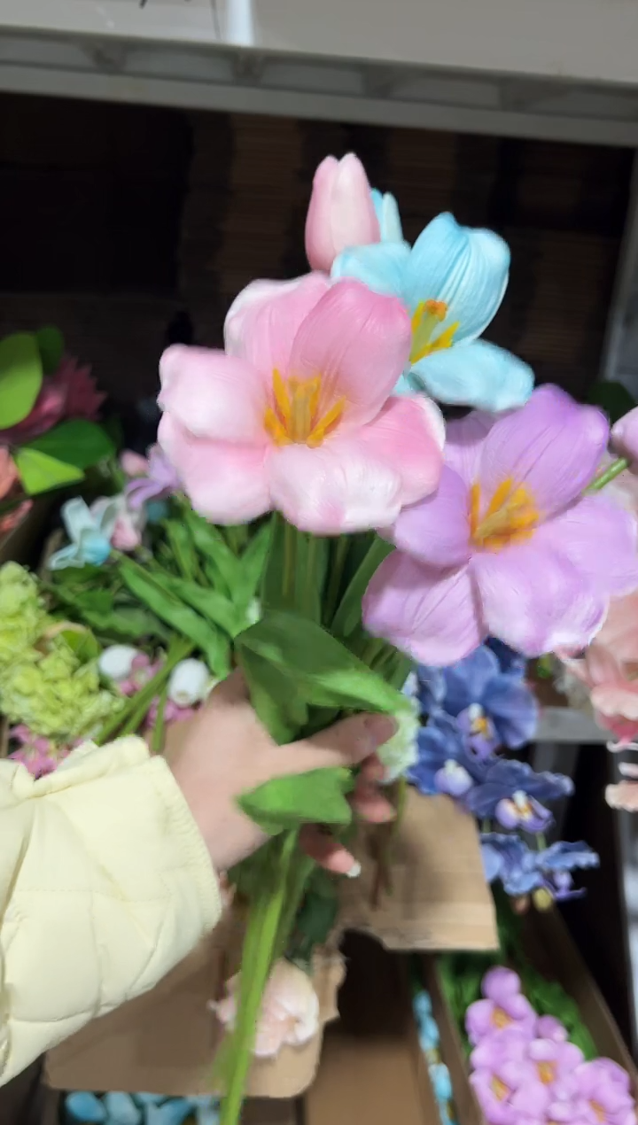 3枝混色2头布朗尼