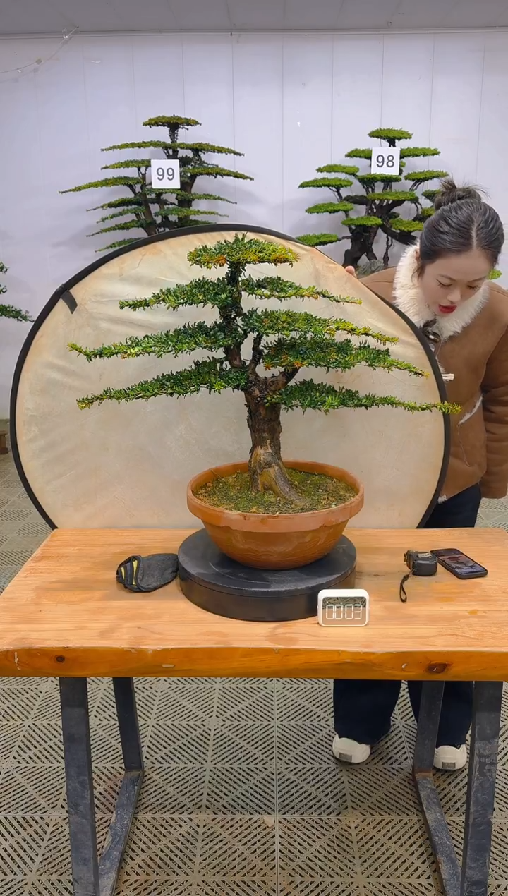 无花朵一物一拍一物一拍