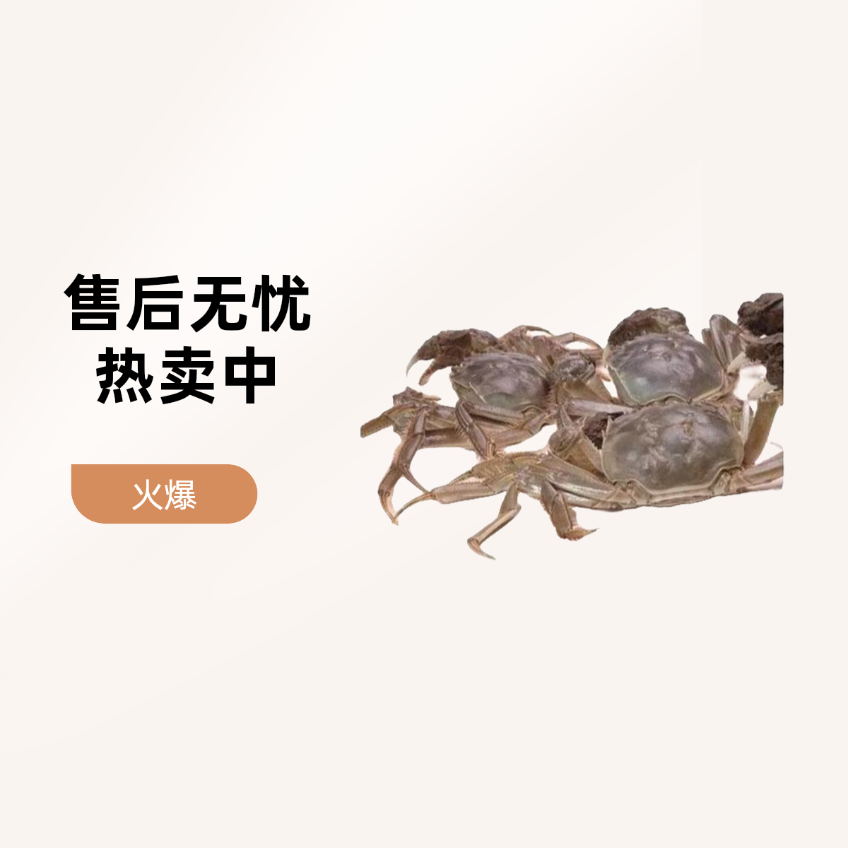 螃蟹（规格）2.8-3.2G｜3母/只