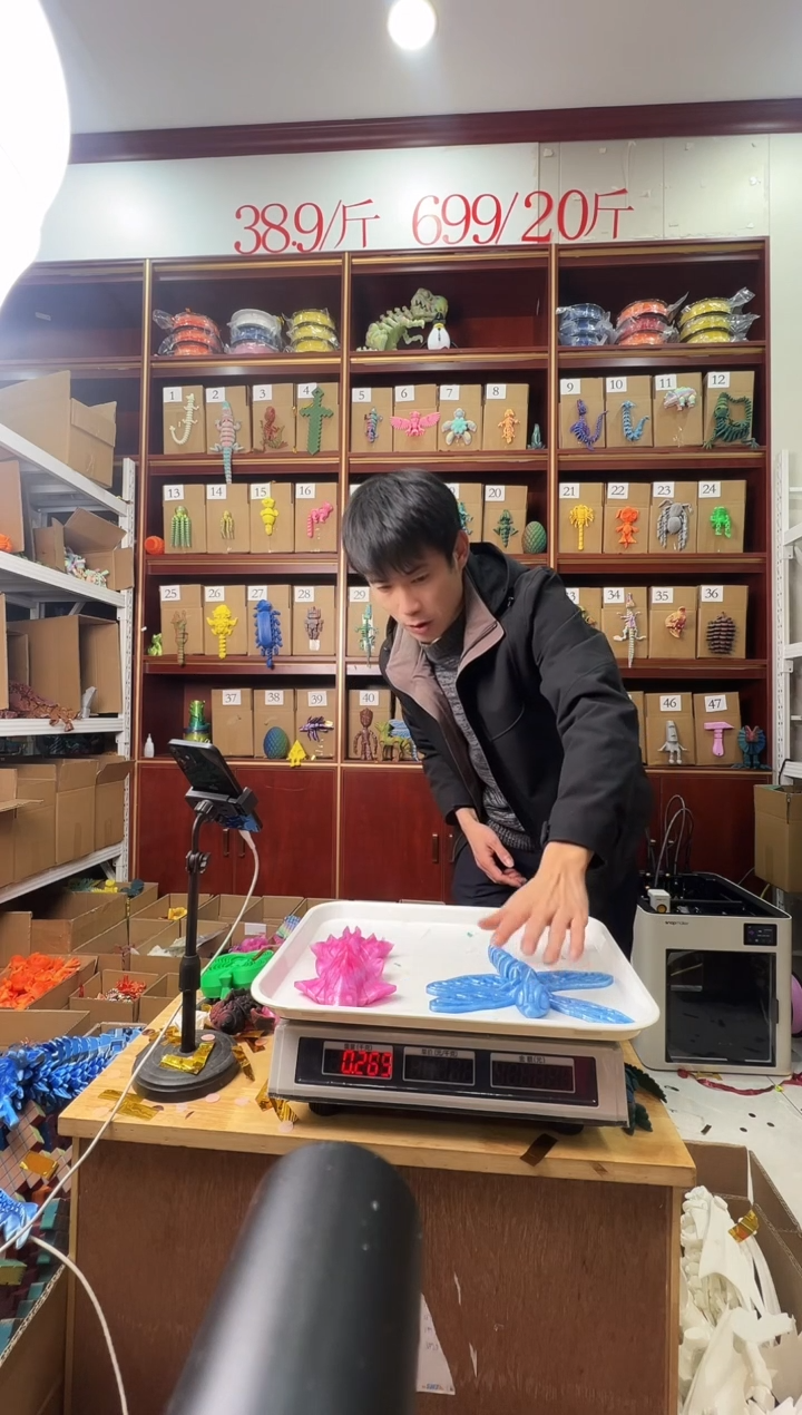 3D打印蜻蜓加大金鱼