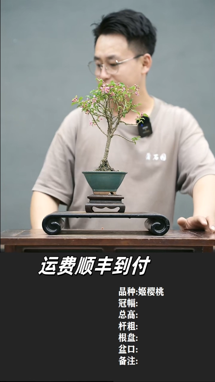 无**果1 姬樱桃    
