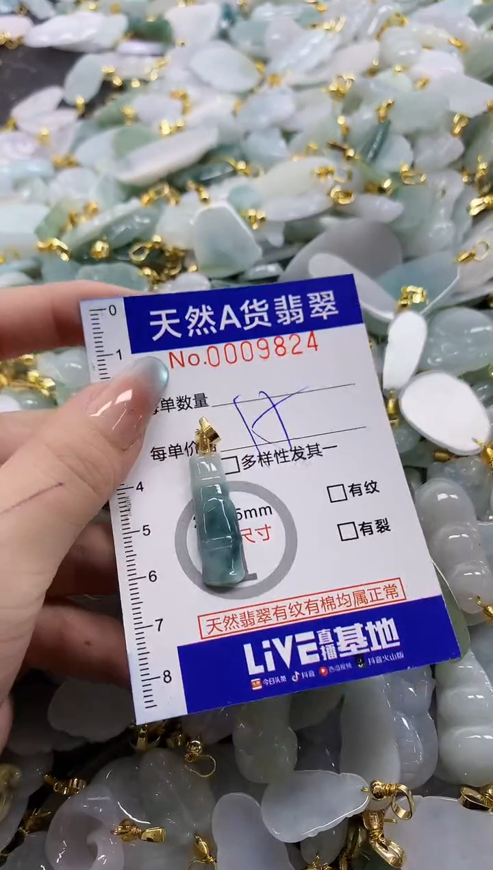 颈饰未镶嵌翡翠天然A货翡翠