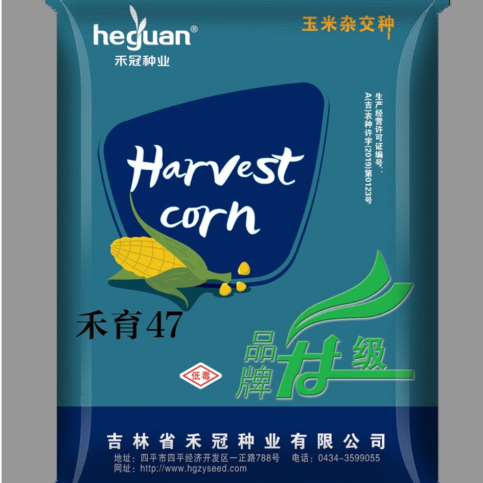 禾育47 玉米杂交种