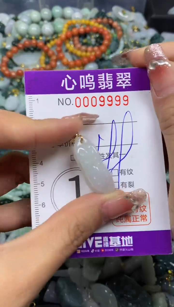 【闪购商品】翡翠颈饰未镶嵌闪购009999