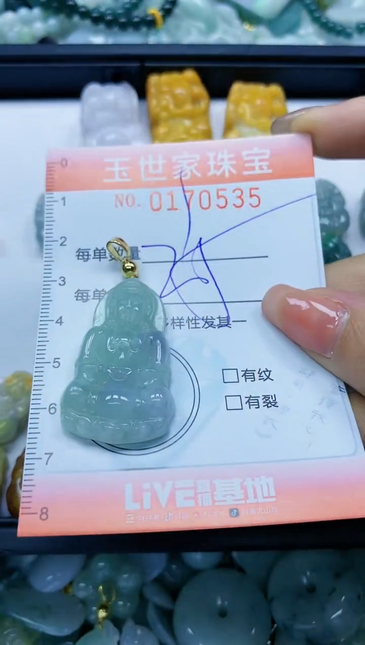 【闪购商品】翡翠颈饰未镶嵌闪购0170535