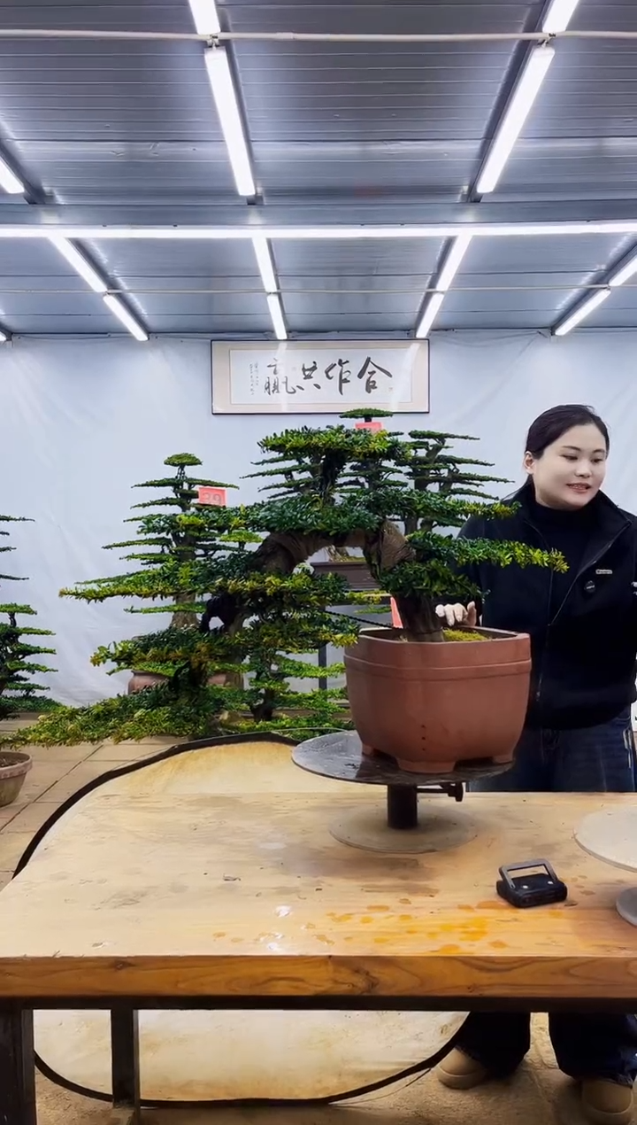 无花朵一物一拍，所见即所得
