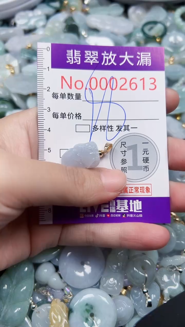 颈饰未镶嵌翡翠2613