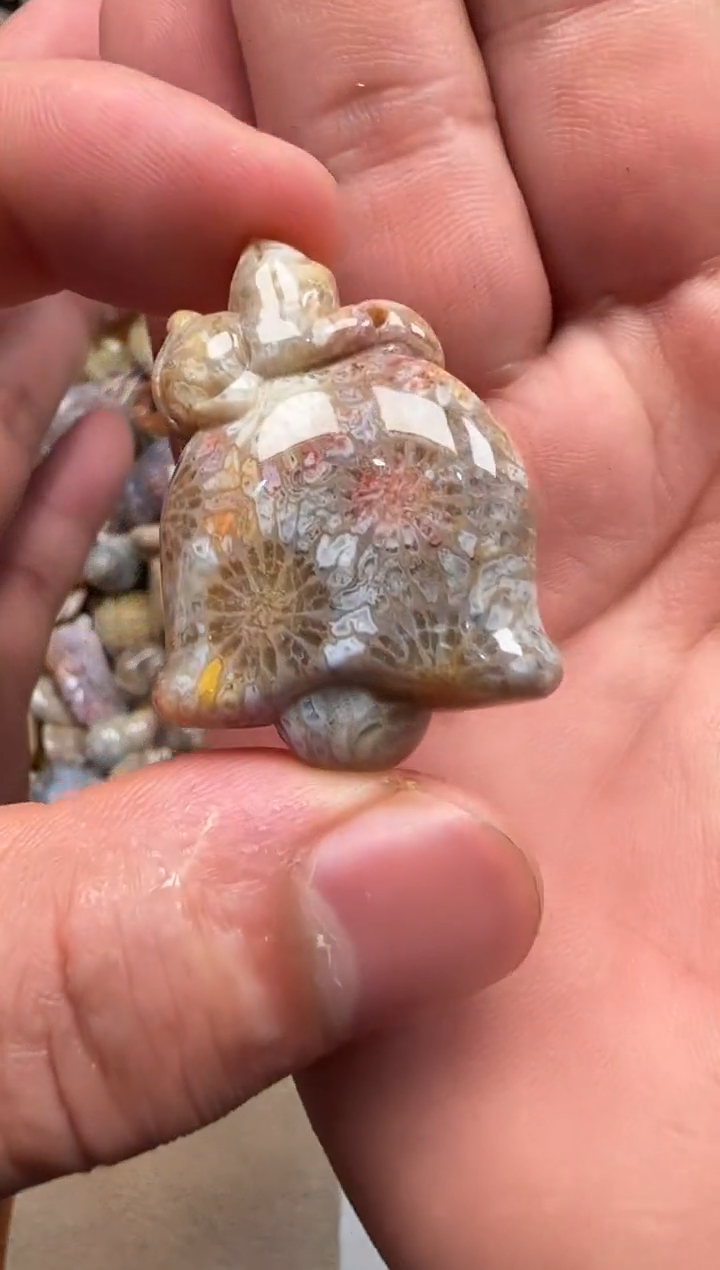 【闪购商品】硅化珊瑚（珊瑚玉）颈饰未镶嵌149