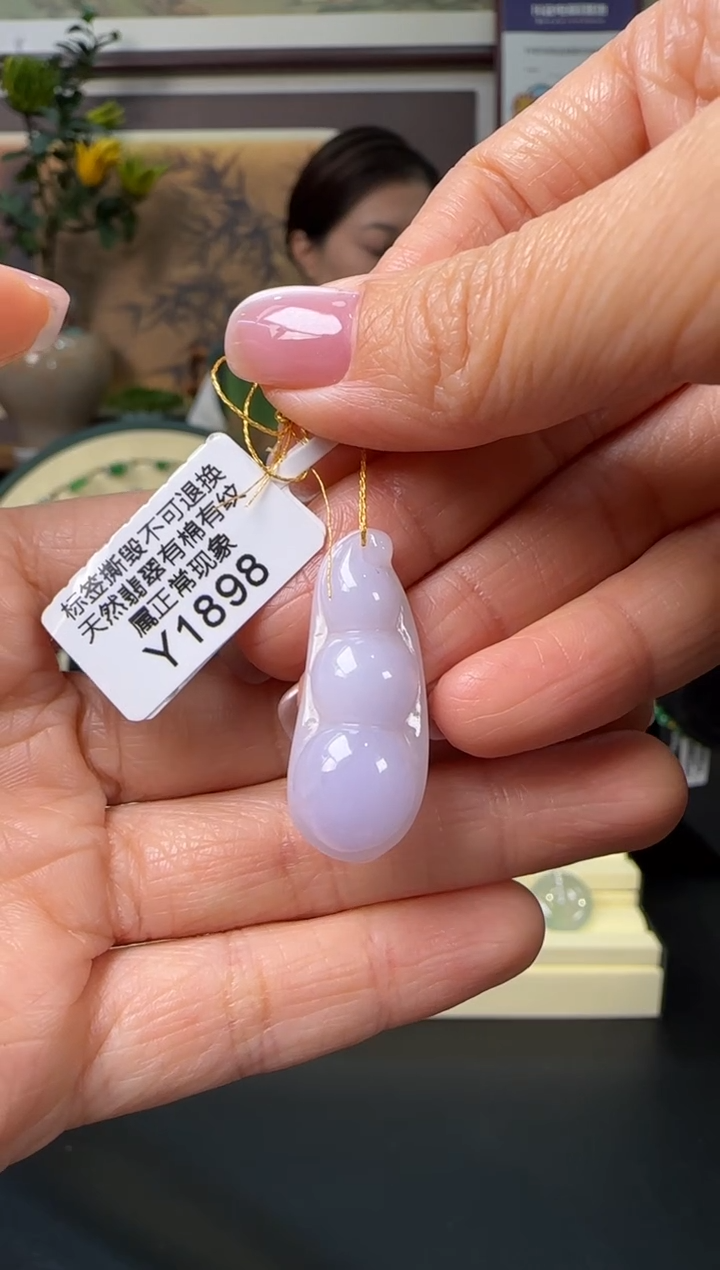 颈饰未镶嵌翡翠Y1898   富贵豆