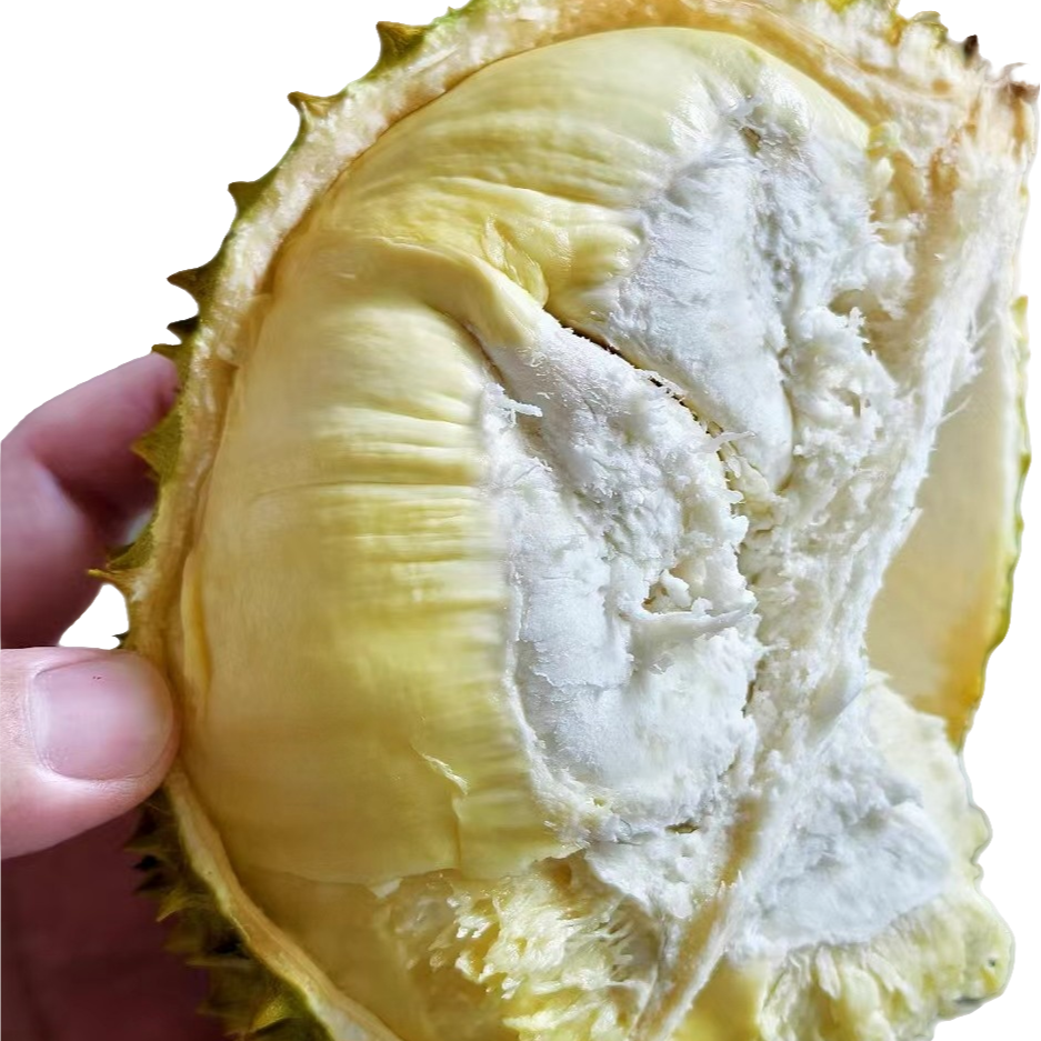 现剥开金枕榴莲果肉干包大黄肉1斤
