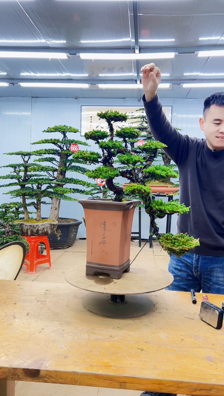 无花朵0000000000000000000000