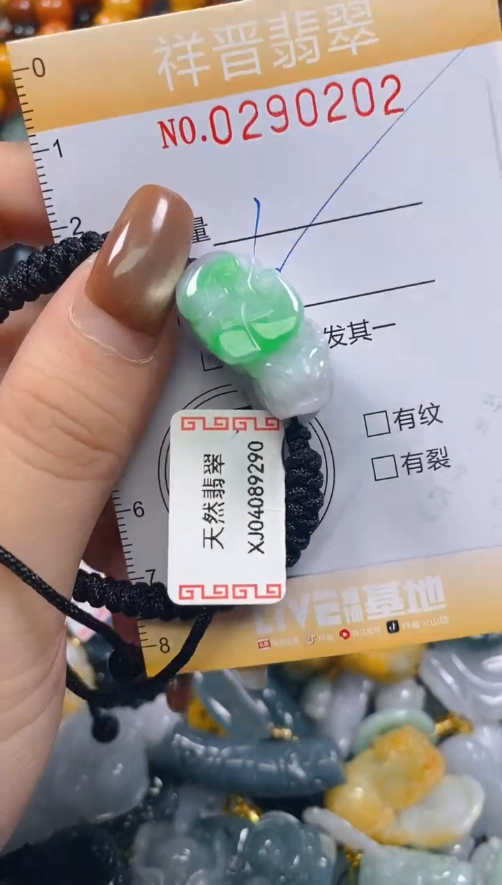 颈饰未镶嵌翡翠闪购0290202