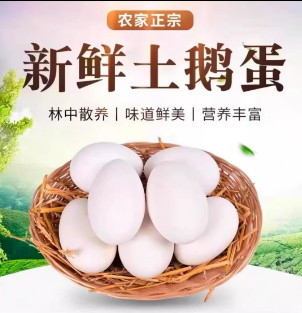 农家现捡笨鹅蛋（顺丰包邮）