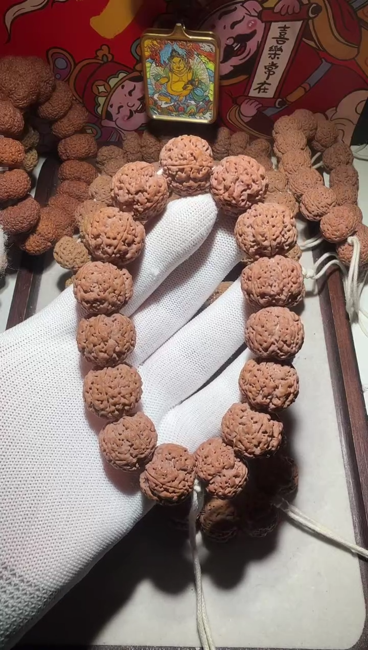 【闪购商品】金刚菩提手串平头针孔满肉五星双龙21