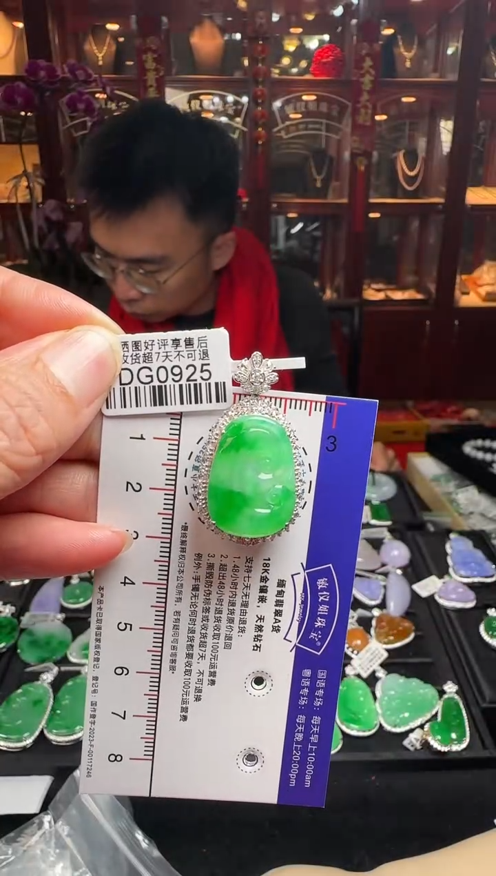【闪购商品】翡翠颈饰18K金镶嵌DG0925冰绿如意