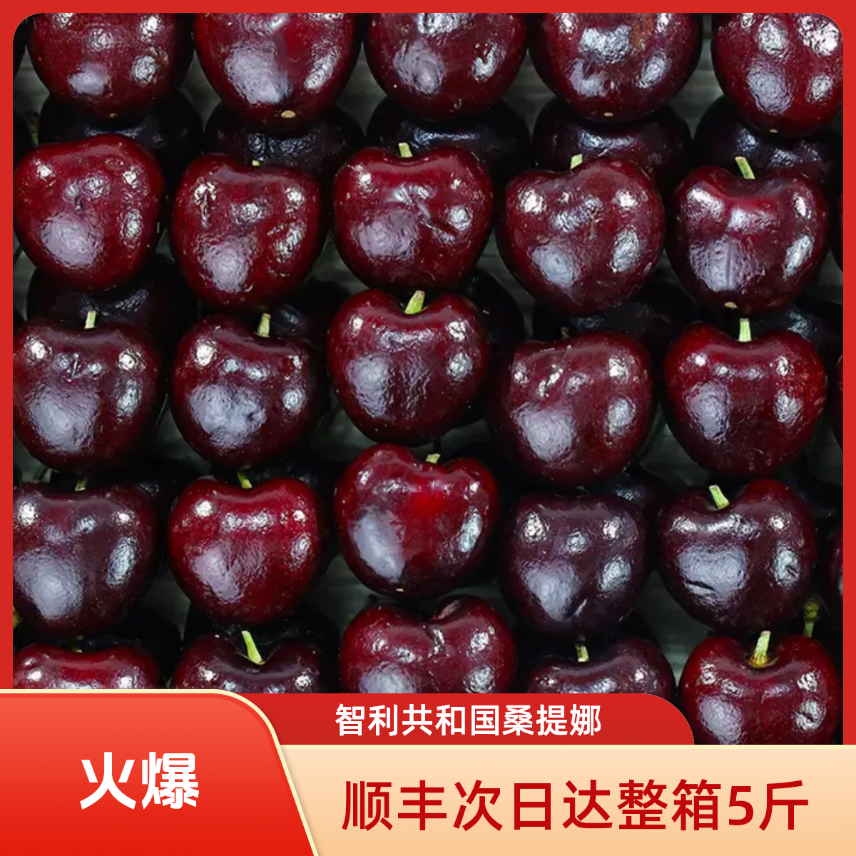 【顺丰次日达】智利车厘子3J整箱5斤海运内附果径卡桑提娜樱桃智利共和国
