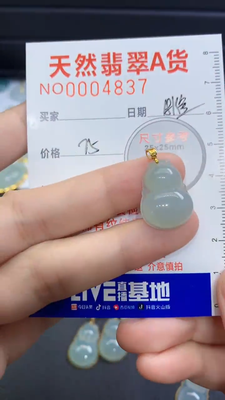 【闪购商品】翡翠颈饰未镶嵌翡翠