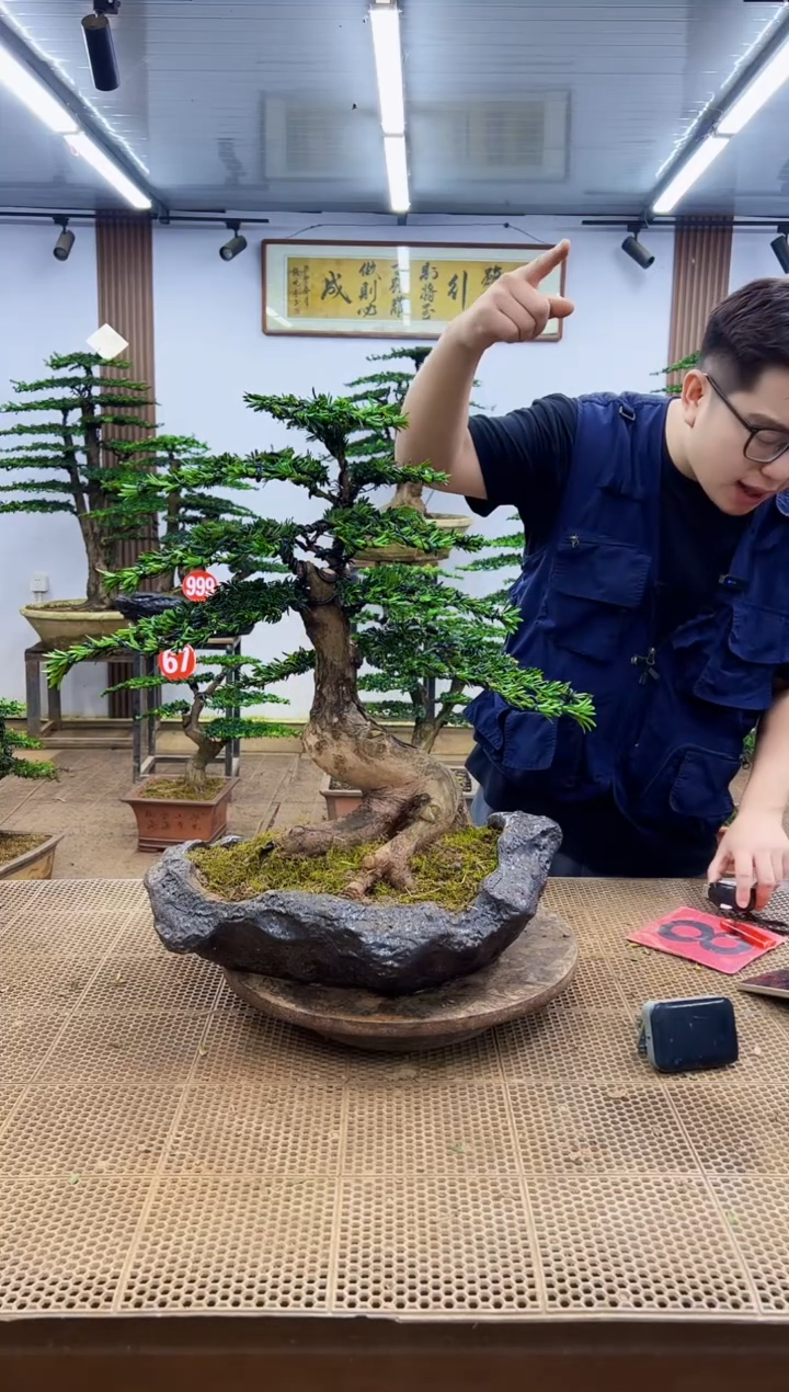 无花朵一物一拍，所见即所得