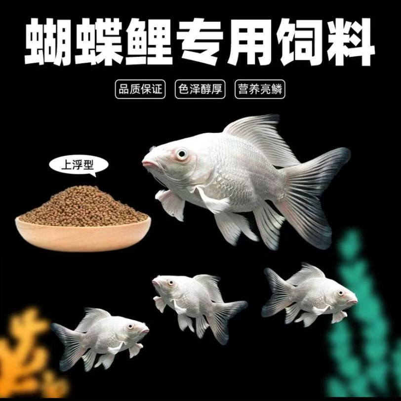 蝴蝶鲤专用鱼粮高蛋白配方优选健康【上浮型】450克