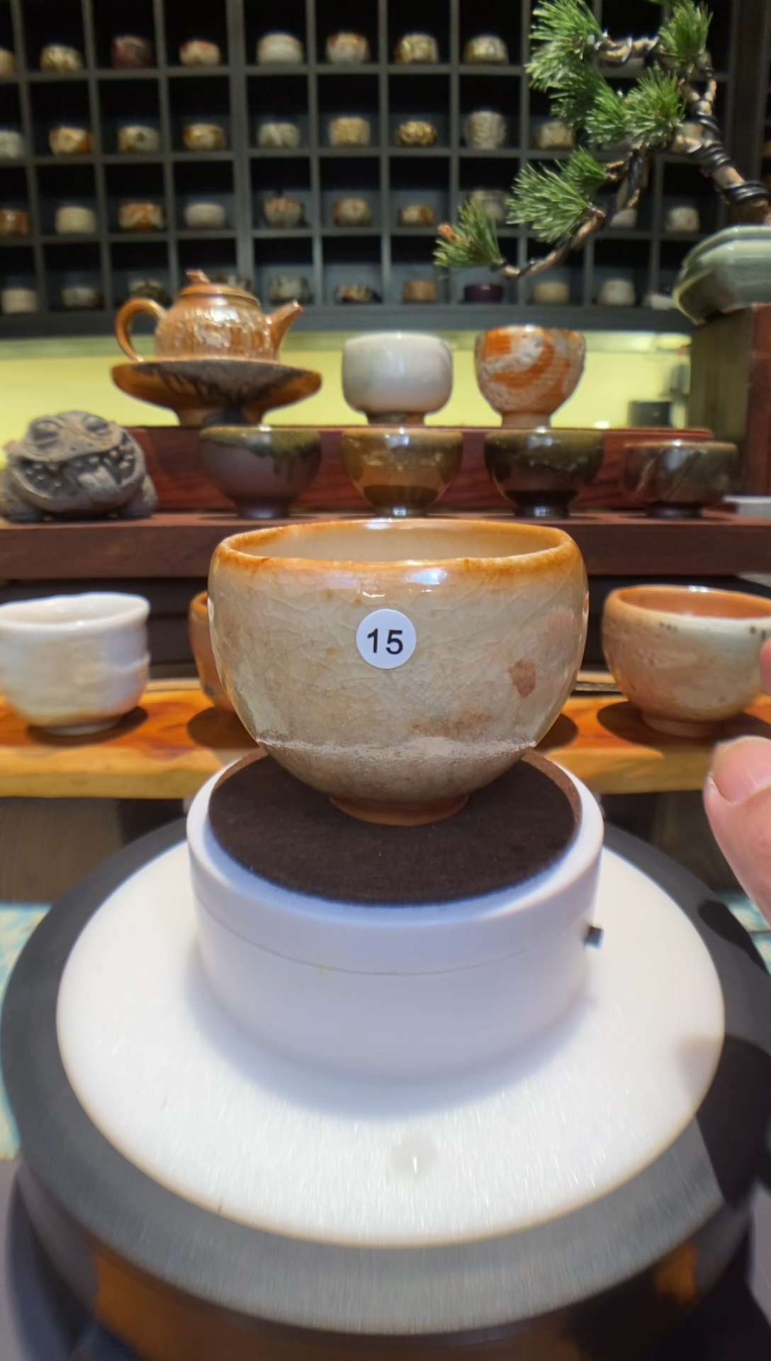 【台湾净窑】柴烧志野15