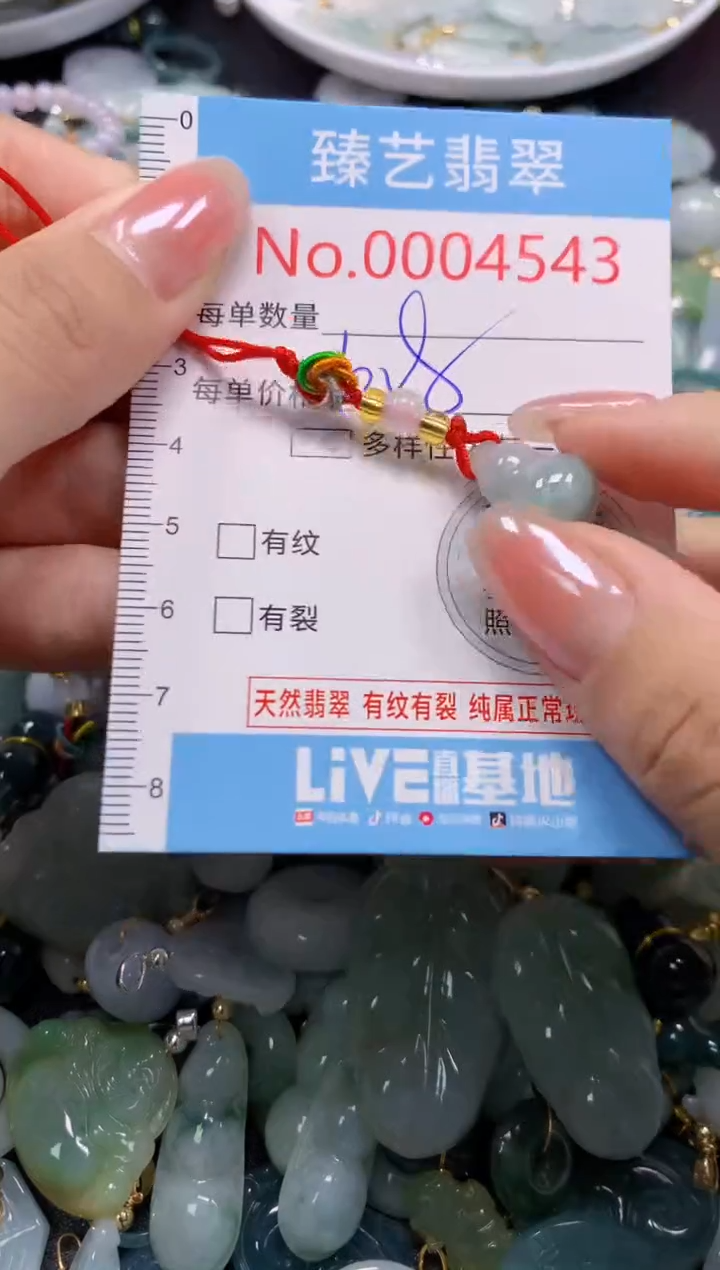 颈饰未镶嵌翡翠4543