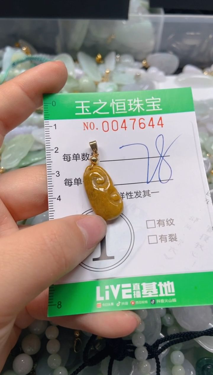 【闪购商品】翡翠颈饰未镶嵌闪购0047644