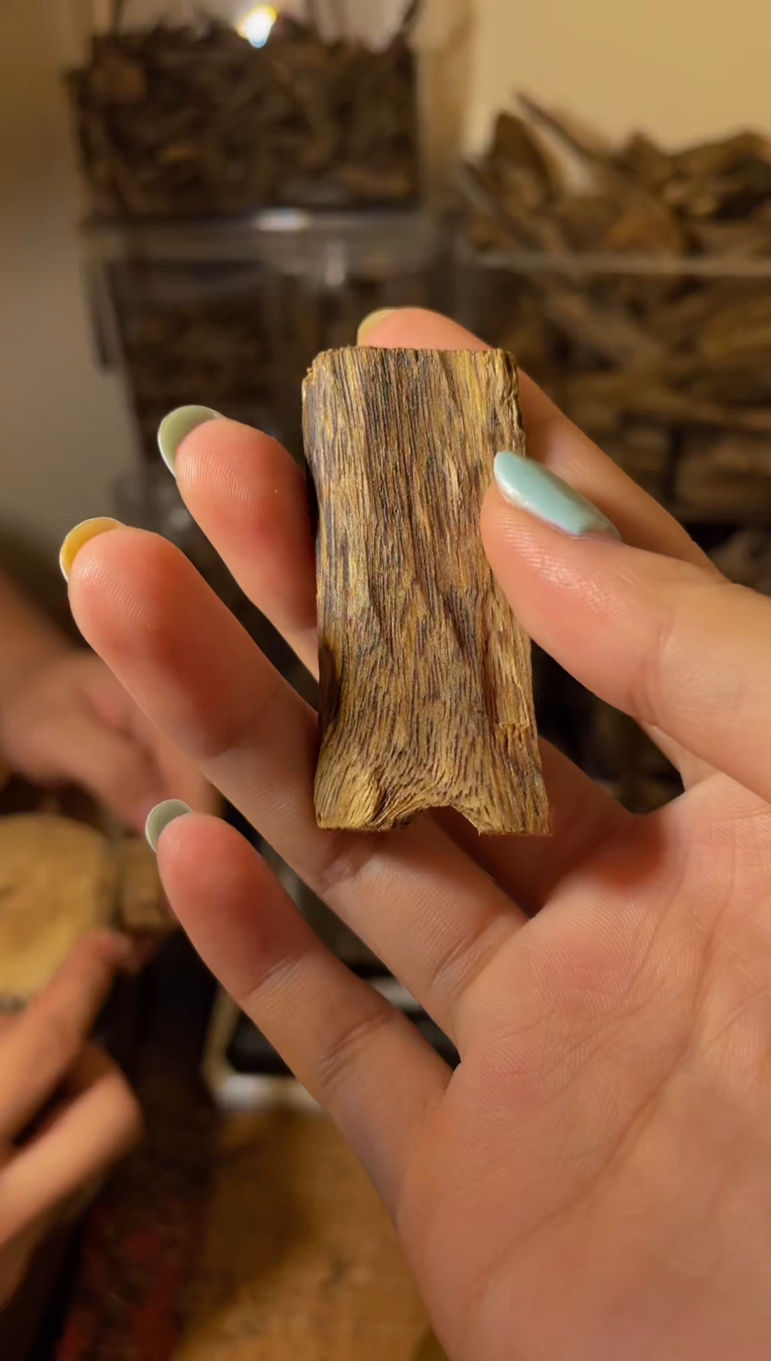 沉香沉香碎屑虫漏14