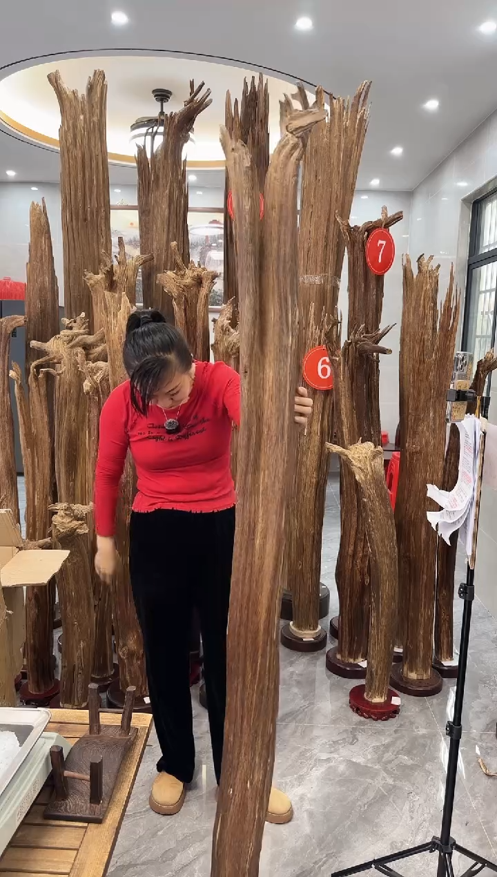 【闪购商品】沉香摆件沉香摆件多样性发货一个35