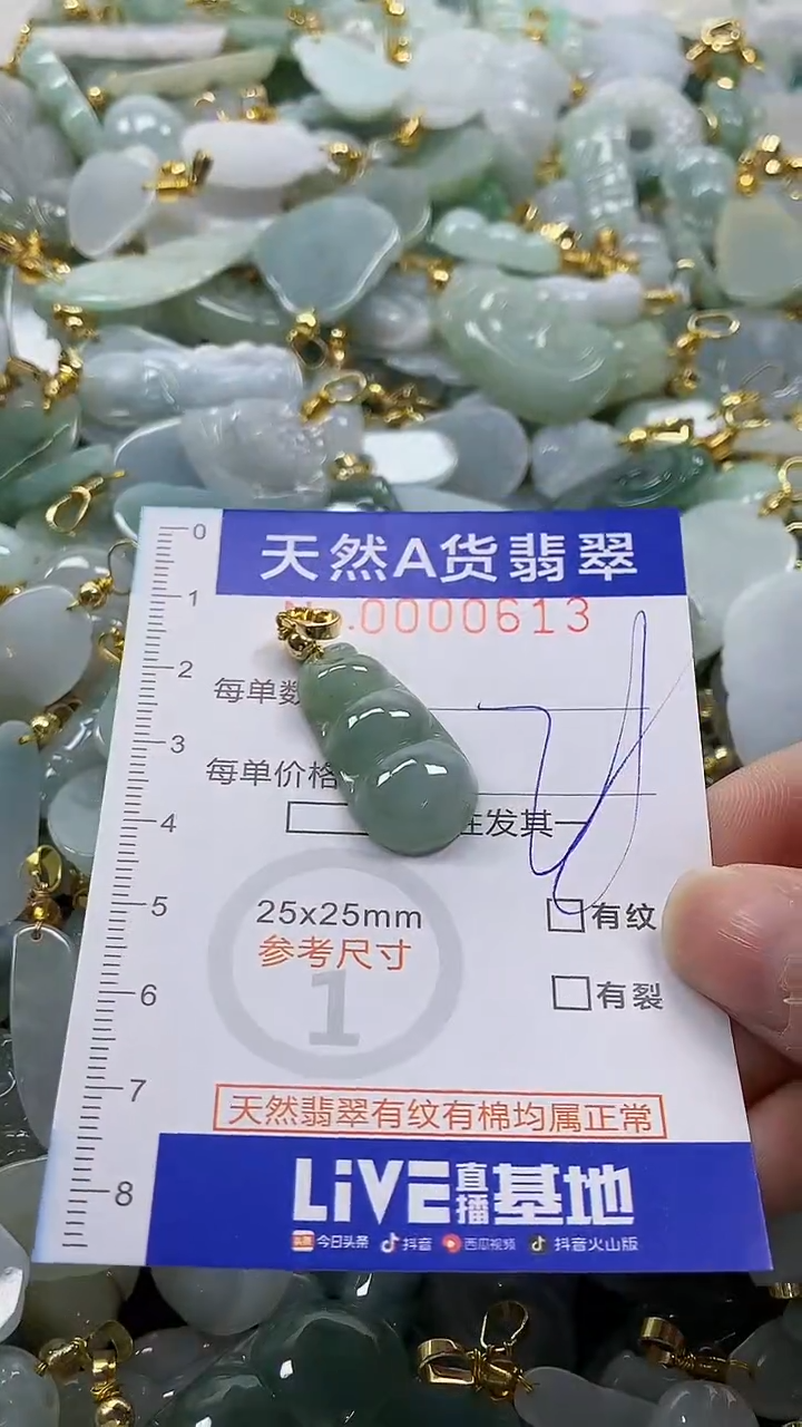 颈饰未镶嵌翡翠纯天然a货翡翠