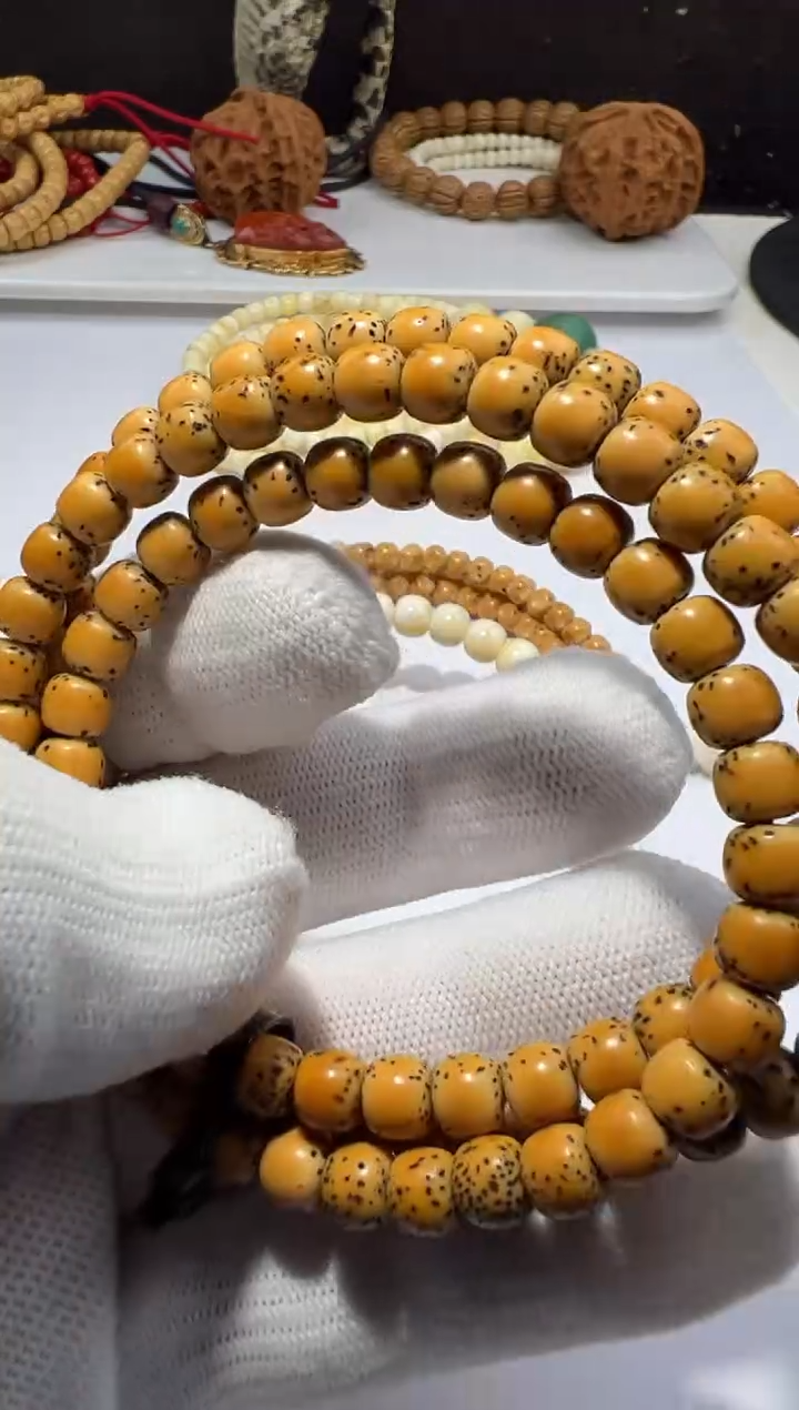 手串星月菩提星月菩提单圈手串