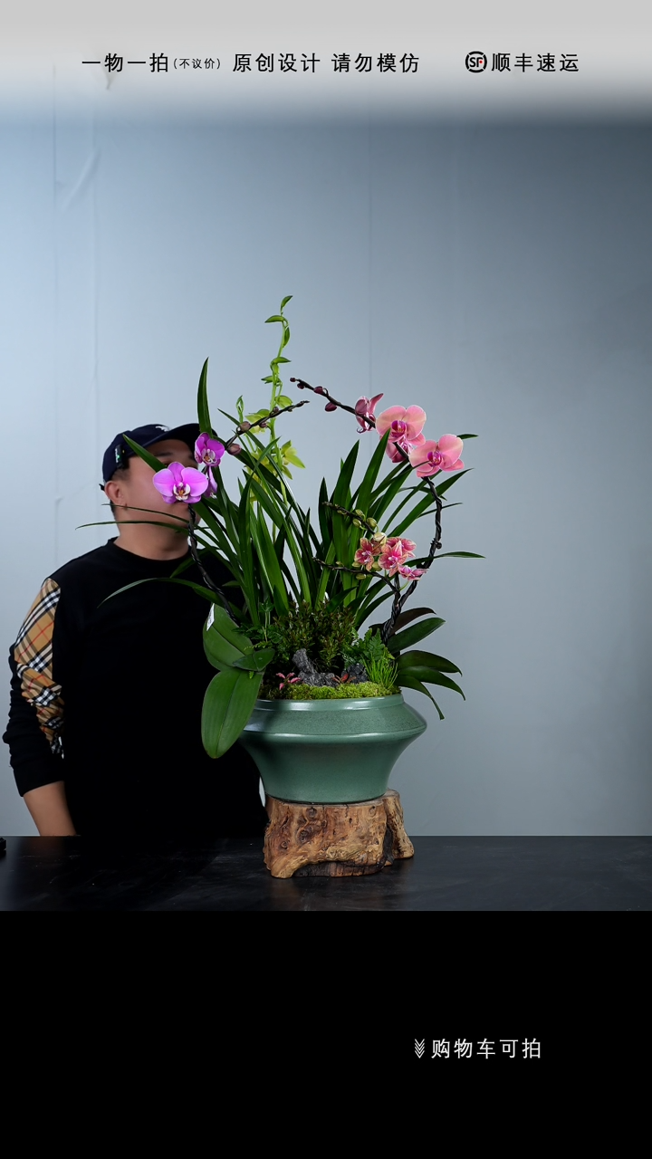 【闪购商品】005号链接【一物一拍】艺术盆景