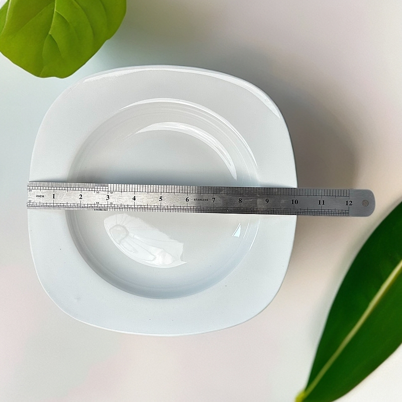 【峰锦甄选】10-12寸 大餐盘 日用 款式随机（2个）