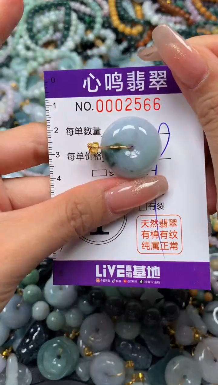 翡翠未镶嵌颈饰闪购002566