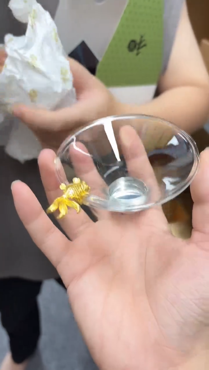 禾器-金鱼茶漏-不锈钢