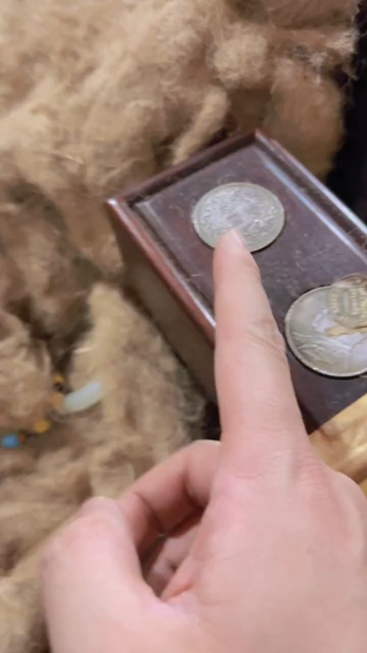 香榧木【摆件】一个个个个  