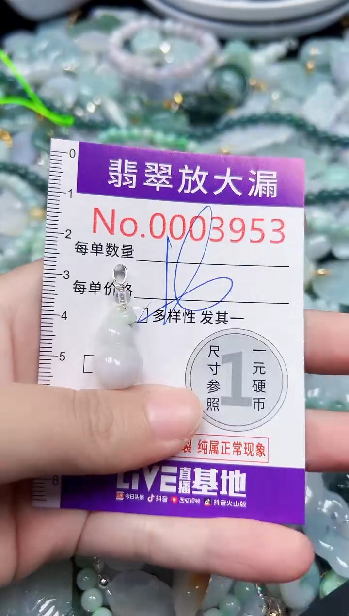 颈饰未镶嵌翡翠3953