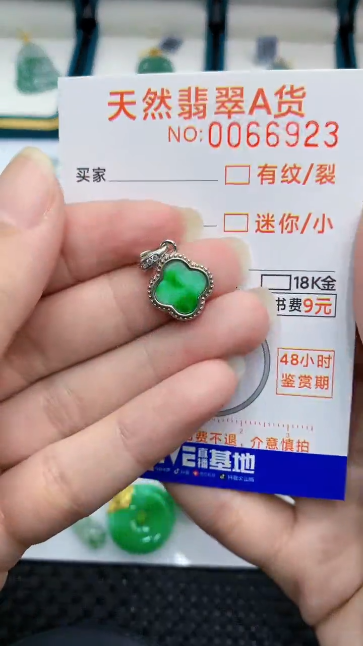 【闪购商品】翡翠颈饰银S925镶嵌            8