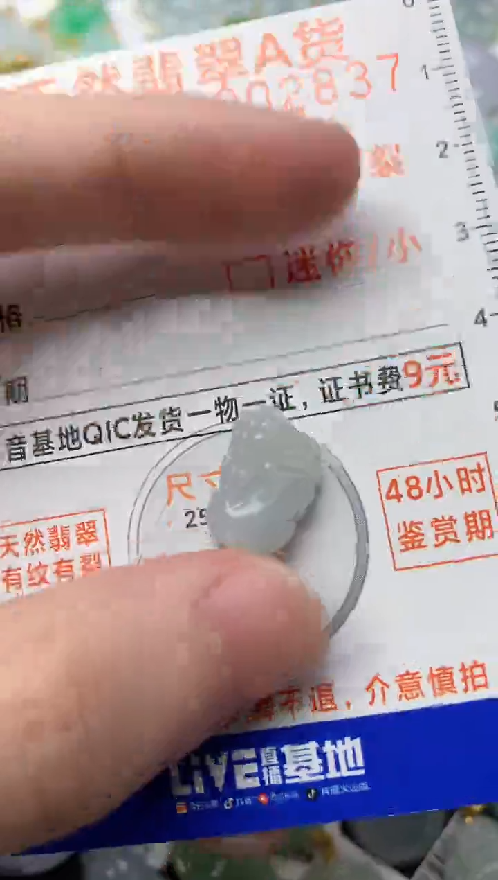 【闪购商品】翡翠颈饰未镶嵌5............