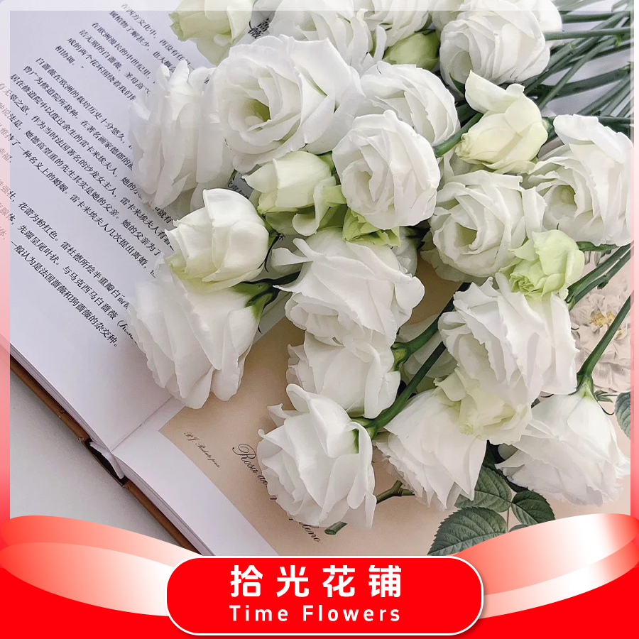 拾光【白色洋桔梗400g】同地址任意两单发顺丰/京东呢