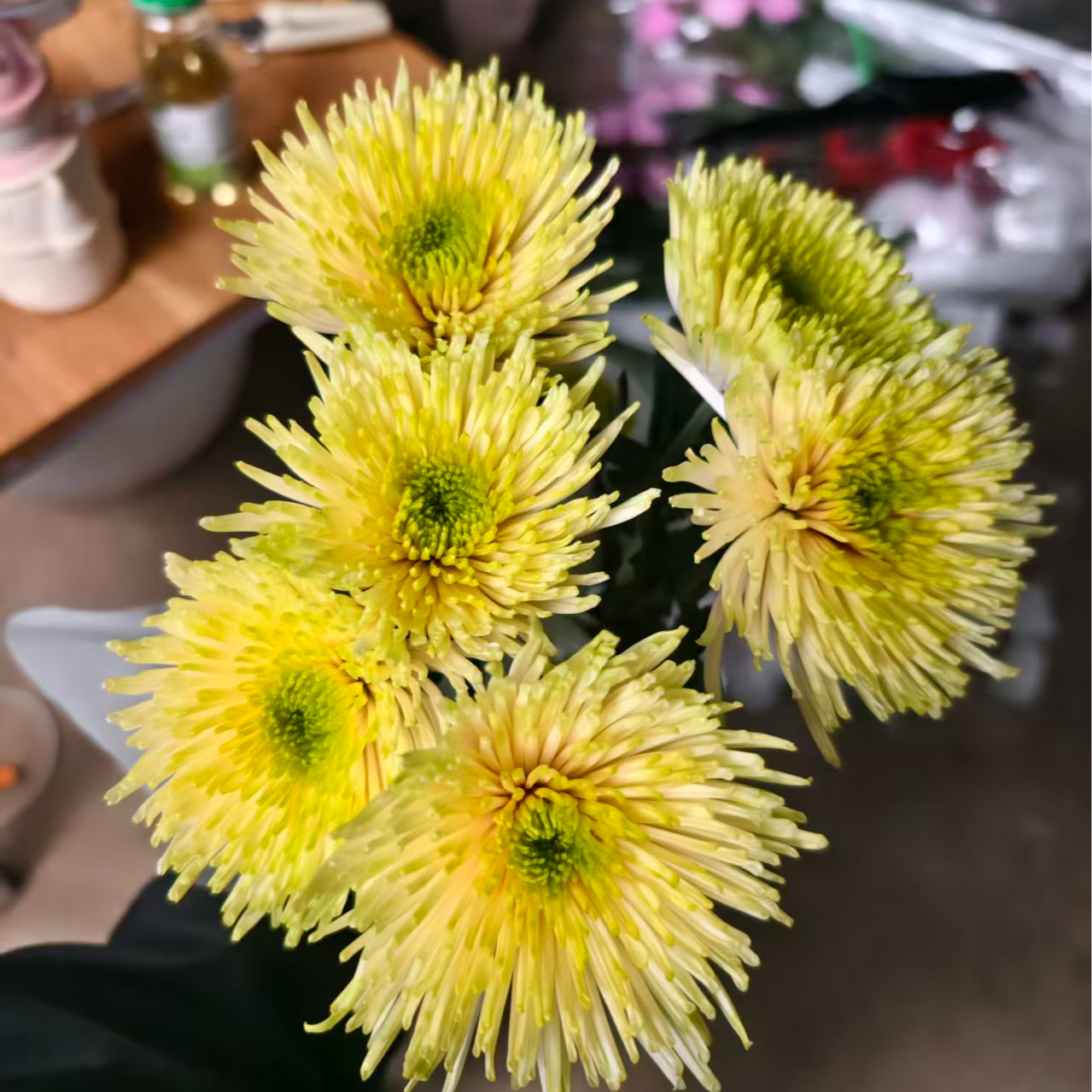 A级稀有柠檬烟花菊10支（1扎）